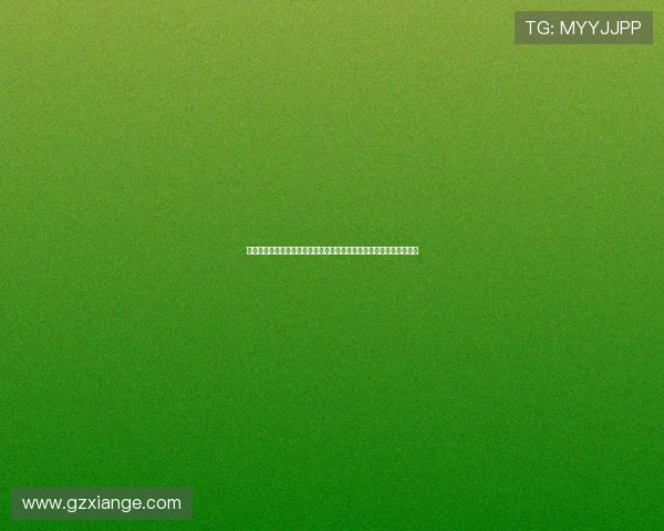 亿目加速器引领高速稳定网络新时代升级体验畅享极致连接与安全保障 亿目加速器引领高速稳定网络新时代升级体验畅享极致连接与安全保障